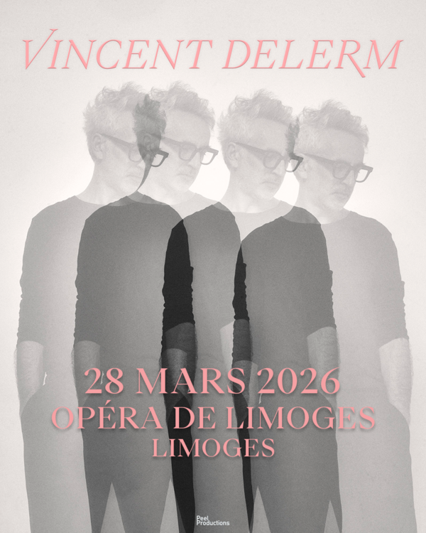 VINCENT DELERM